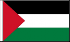 Palestine Hand Waving Flags